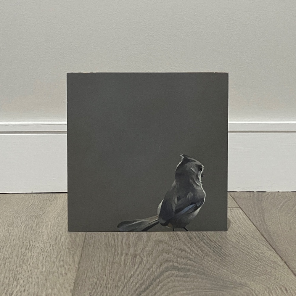 Wings on Wood® Birch Collection by artist, Matt Adrian
